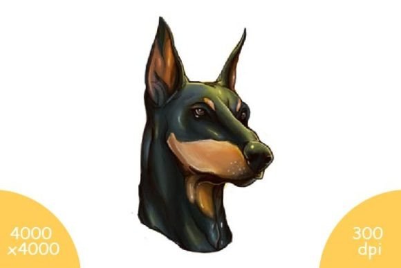 Download Doberman Headshot - Doberman Collection