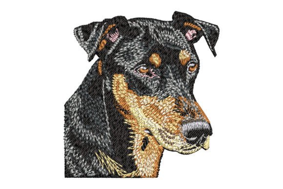 Download Doberman Pinscher - Doberman Collection
