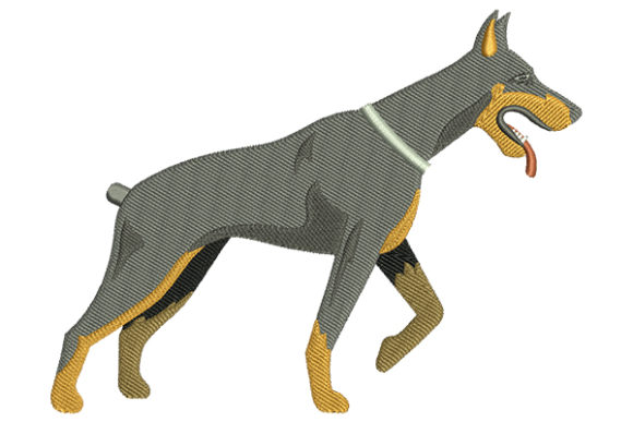 Download Doberman Dog - Doberman Collection