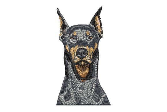 Download Doberman Pinscher - Doberman Collection